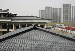 exhibition center244 exhibition center244