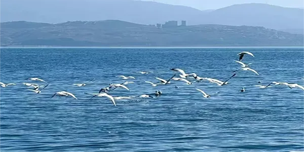 lake