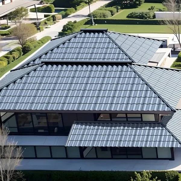 Metal roof1 Metal roof1