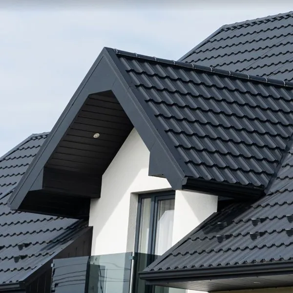 Metal roof2 Metal roof2
